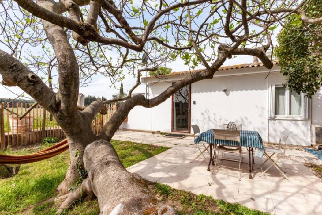 Casa Cote Sud - Mas Bois Fontaine Villa นีมส์ ภายนอก รูปภาพ