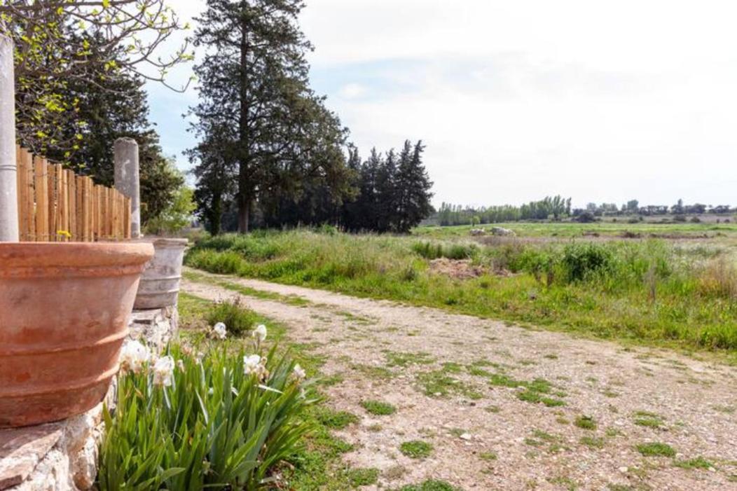 Casa Cote Sud - Mas Bois Fontaine Villa นีมส์ ภายนอก รูปภาพ