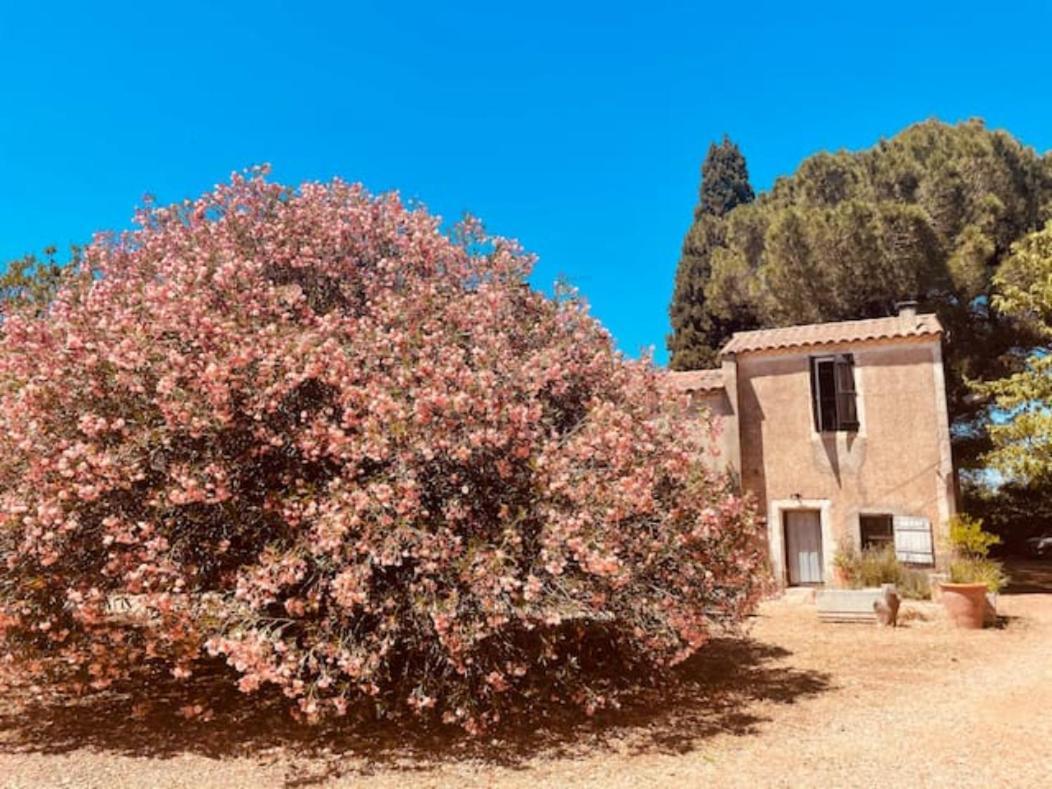 Casa Cote Sud - Mas Bois Fontaine Villa นีมส์ ภายนอก รูปภาพ